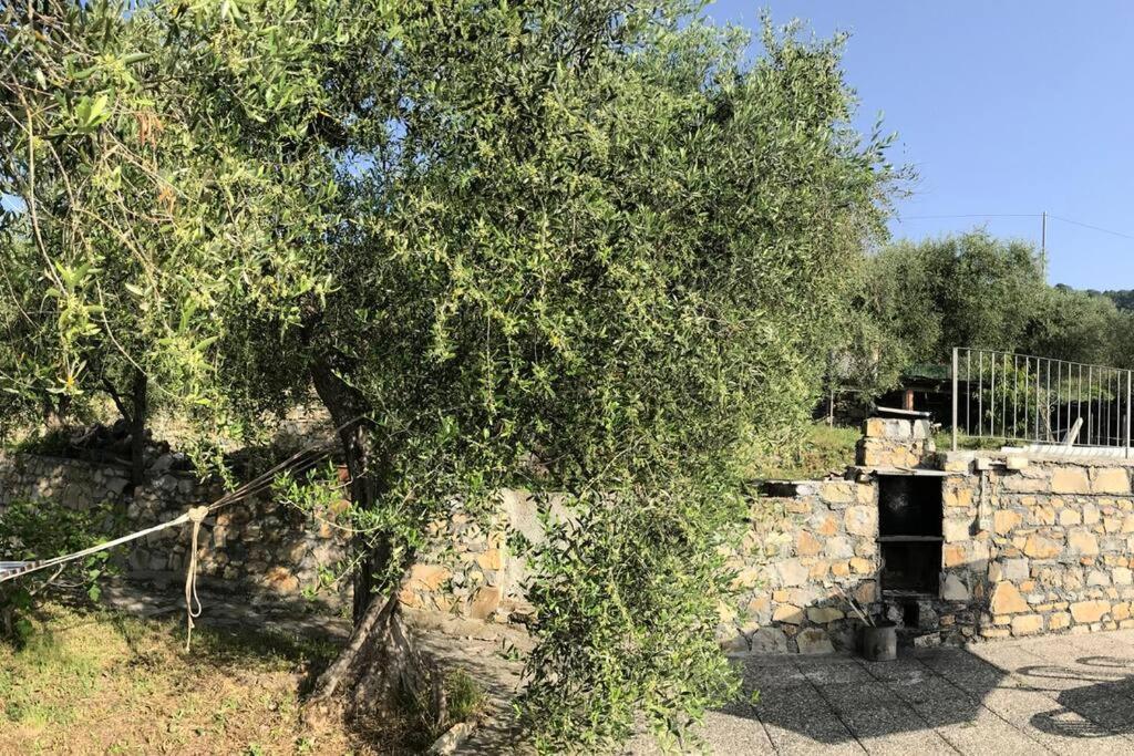 Villa Berio Due - Tuija Villa Viani Extérieur photo