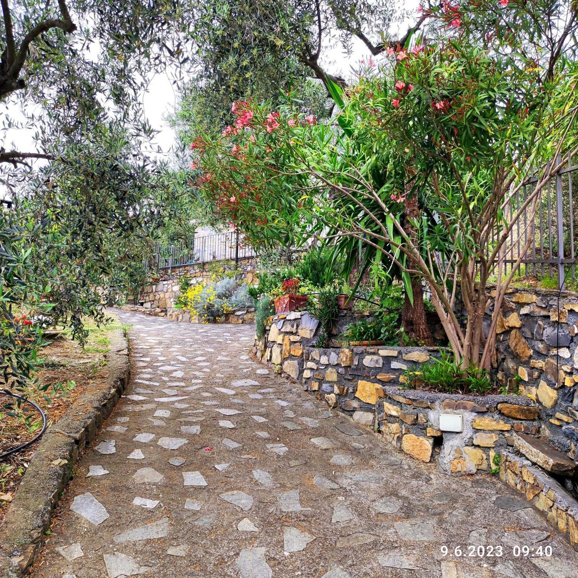 Villa Berio Due - Tuija Villa Viani Extérieur photo